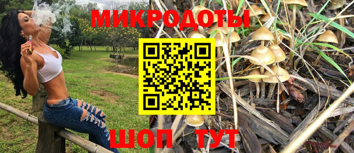 Галлюциногенные грибы Cubensis Новосибирск
