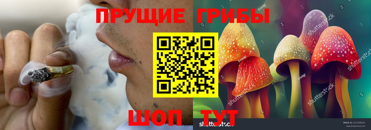 Галлюциногенные грибы MAGIC MUSHROOMS  Вход с VPN  Новосибирск 